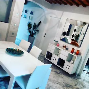Contessa Pisa